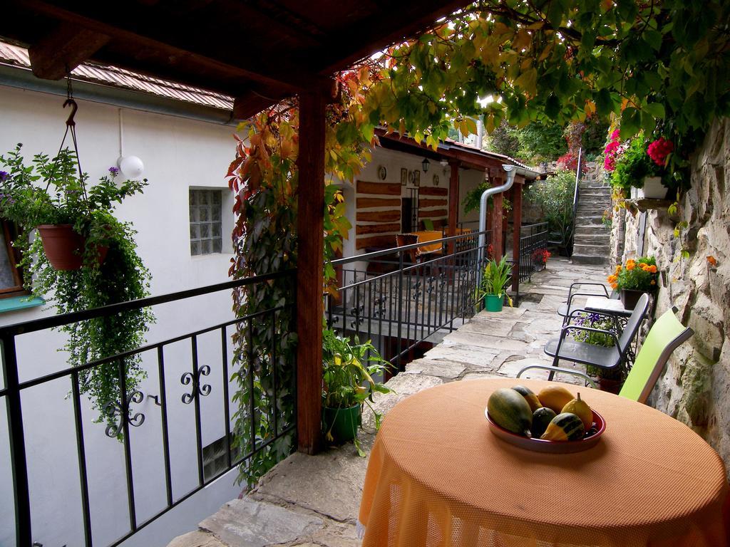 Pension Hamry Vranov nad Dyjí Εξωτερικό φωτογραφία
